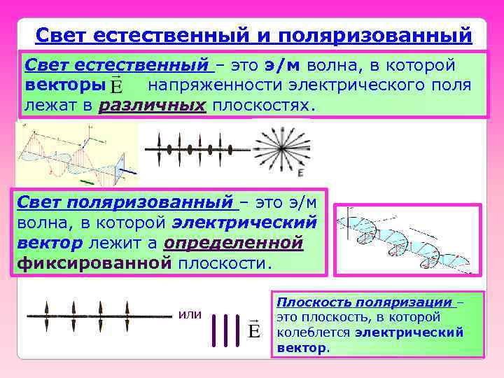 Свет естественный и поляризованный Свет естественный – это э/м волна, в которой векторы напряженности