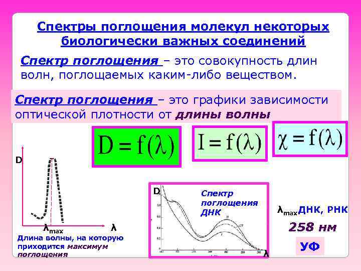 Спектры поглощения молекул некоторых биологически важных соединений Спектр поглощения – это совокупность длин волн,