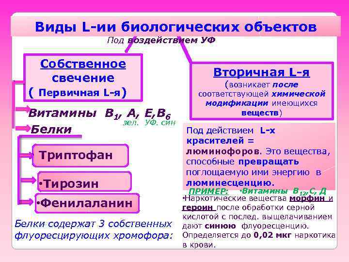 Виды L-ии биологических объектов Под воздействием УФ Собственное свечение ( Первичная L-я) Витамины В