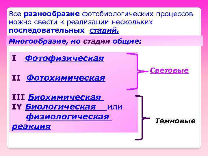 Все разнообразие фотобиологических процессов можно свести к реализации нескольких последовательных стадий. Многообразие, но стадии