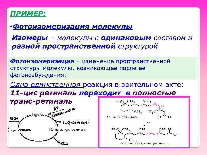 ПРИМЕР: • Фотоизомеризация молекулы Изомеры – молекулы с одинаковым составом и разной пространственной структурой