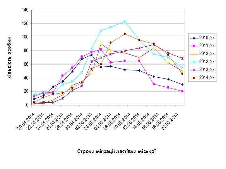 Строки міграції ластівки міської 