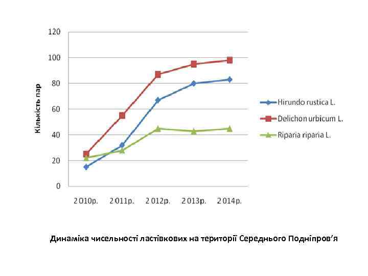 Динаміка чисельності ластівкових на території Середнього Подніпров’я 