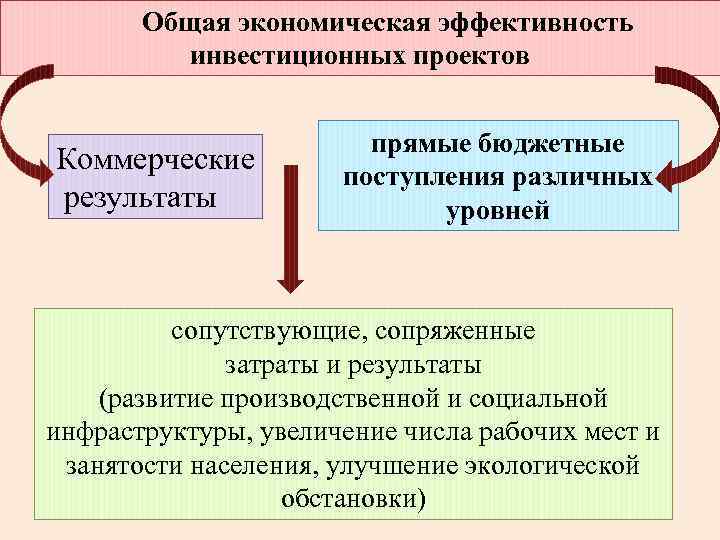 Общая экономическая эффективность инвестиционных проектов Коммерческие результаты прямые бюджетные поступления различных уровней сопутствующие, сопряженные