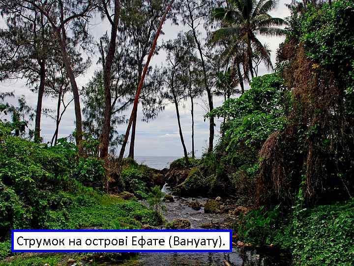 Струмок на острові Ефате (Вануату). 