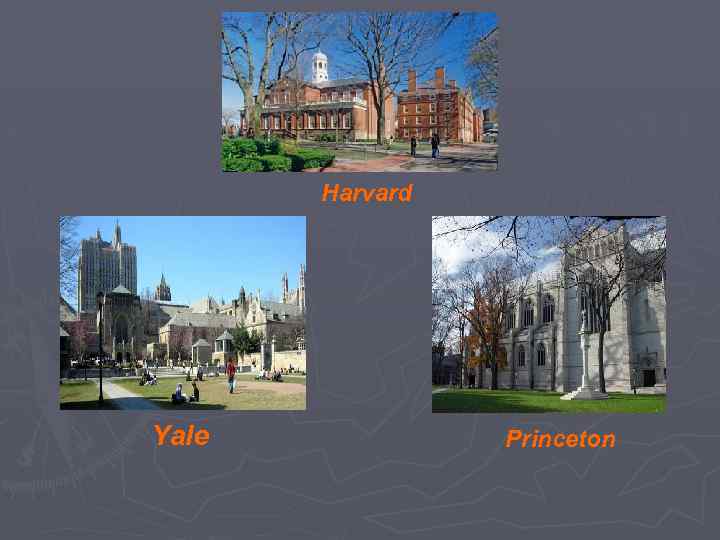 Harvard Yale Princeton 