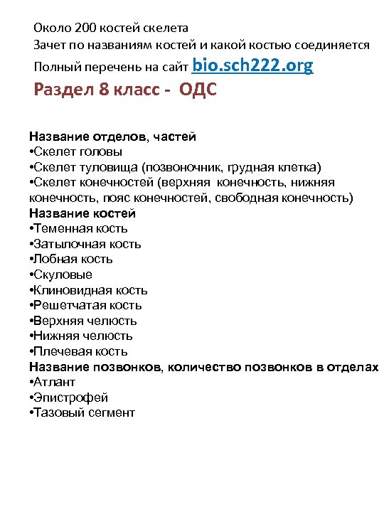 Около 200 костей скелета Зачет по названиям костей и какой костью соединяется Полный перечень