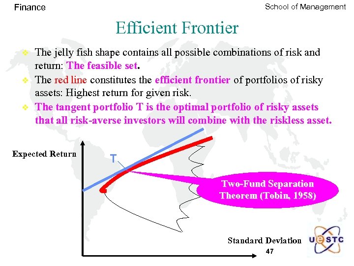 School of Management Finance Efficient Frontier v v v The jelly fish shape contains