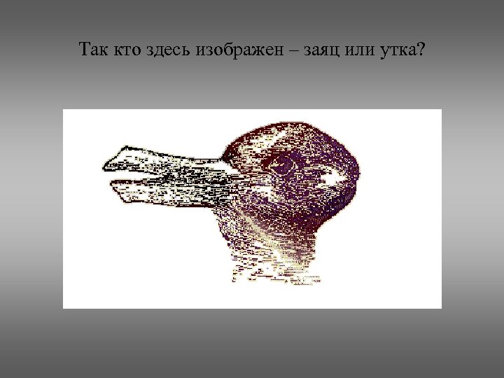 Так кто здесь изображен – заяц или утка? 