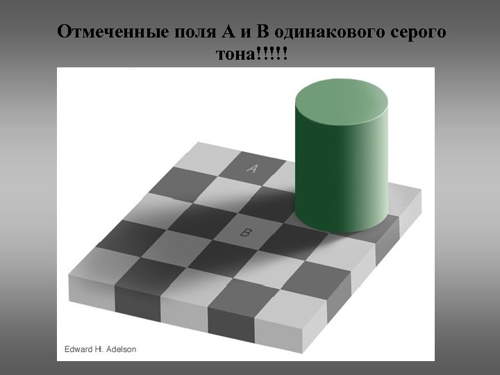 Отмеченные поля A и B одинакового серого тона!!!!! 