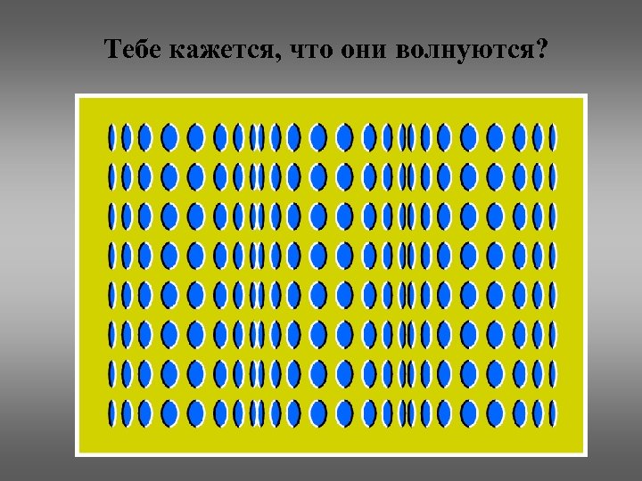 Тебе кажется, что они волнуются? 