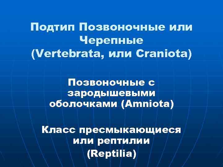 Подтип Позвоночные или Черепные (Vertebrata, или Craniota) Позвоночные c зародышевыми оболочками (Amniota) Класс пресмыкающиеся