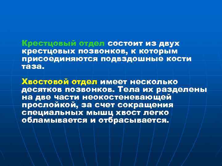 Крестцовый отдел состоит из двух крестцовых позвонков, к которым присоединяются подвздошные кости таза. Хвостовой