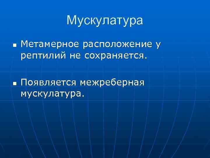 Мускулатура n n Метамерное расположение у рептилий не сохраняется. Появляется межреберная мускулатура. 