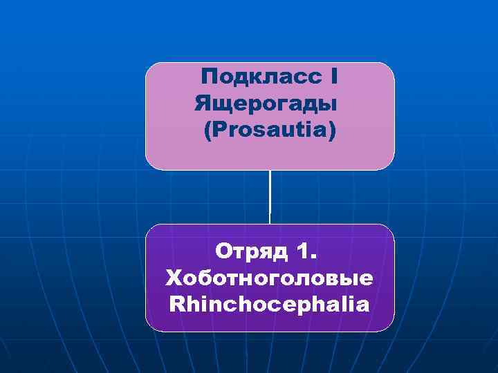 Подкласс I Ящерогады (Prosautia) Отряд 1. Хоботноголовые Rhinchocephalia 