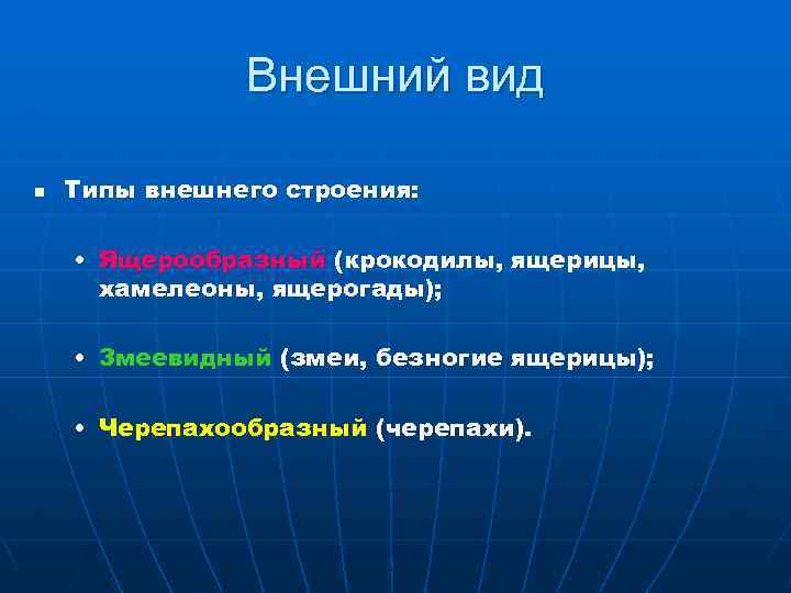 Внешний вид n Типы внешнего строения: • Ящерообразный (крокодилы, ящерицы, хамелеоны, ящерогады); • Змеевидный