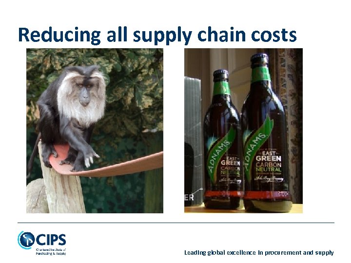 Reducing all supply chain costs Leading global excellence in procurement and supply 
