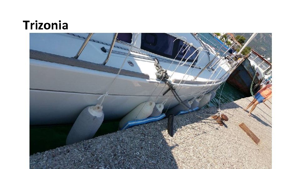 Trizonia 