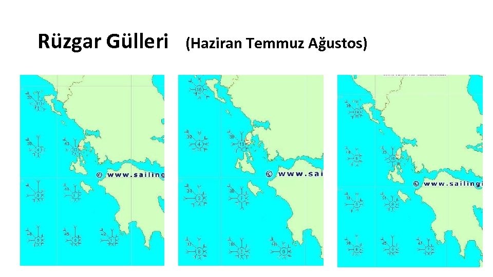 Rüzgar Gülleri (Haziran Temmuz Ağustos) 