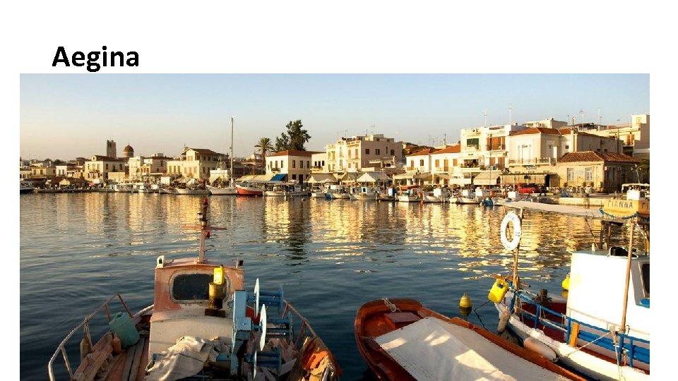 Aegina 