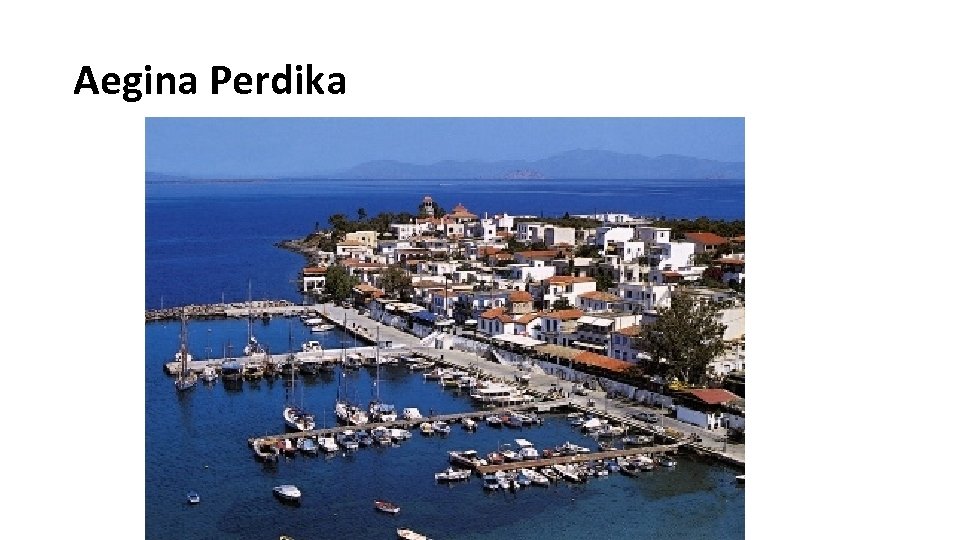 Aegina Perdika 