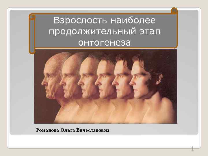 Взрослость наиболее продолжительный этап онтогенеза Романова Ольга Вячеславовна 1 