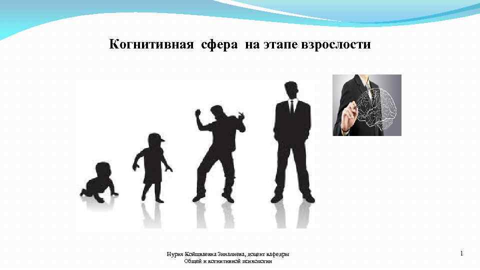 Когнитивная сфера на этапе взрослости Нурия Койшваевна Зиналиева, доцент кафедры Общей и когнитивной психологии