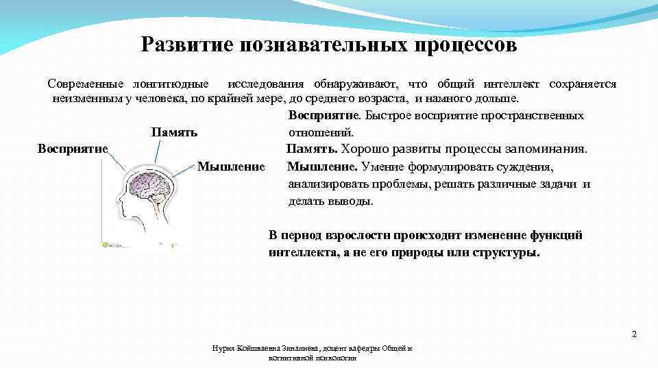 Развитие познавательных процессов