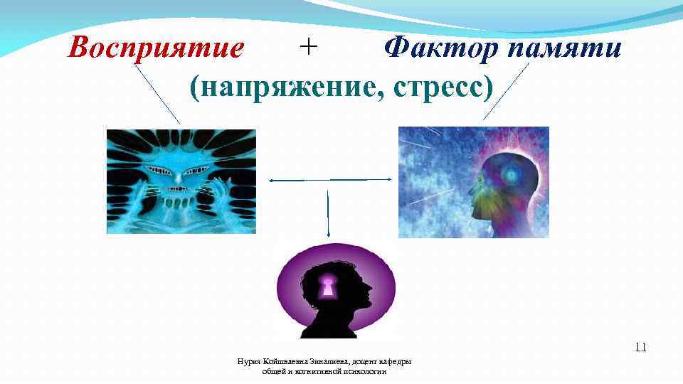 Восприятие + Фактор памяти (напряжение, стресс) 11 Нурия Койшваевна Зиналиева, доцент кафедры общей и