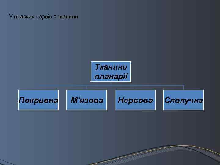 У пласких червів є тканини Тканини планарії Покривна М'язова Нервова Сполучна 