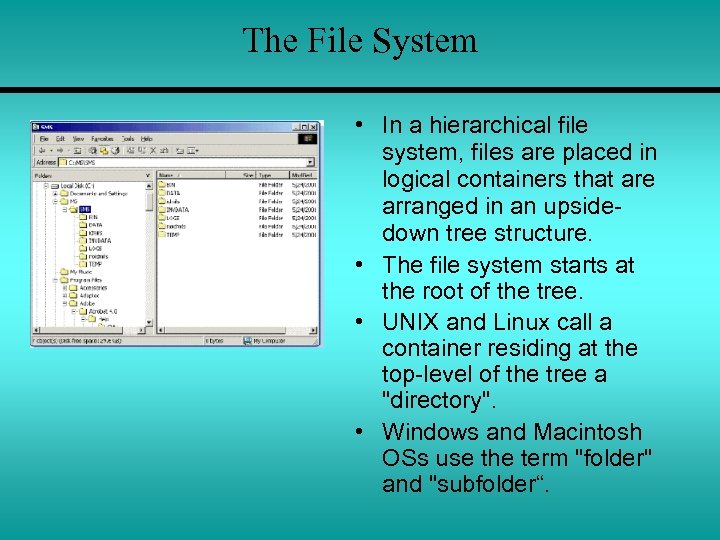 The File System • In a hierarchical file system, files are placed in logical