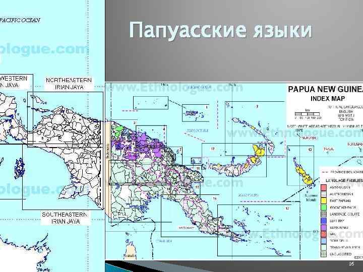 Австронезийская языковая семья