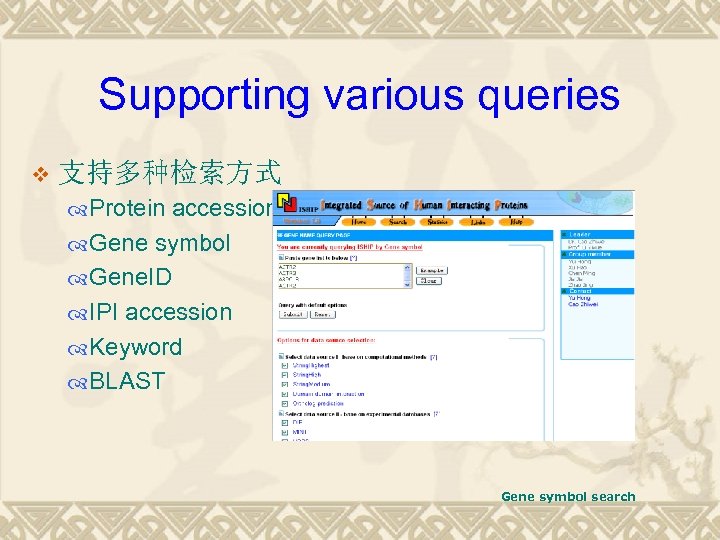 Supporting various queries v 支持多种检索方式 Protein accession Gene symbol Gene. ID IPI accession Keyword