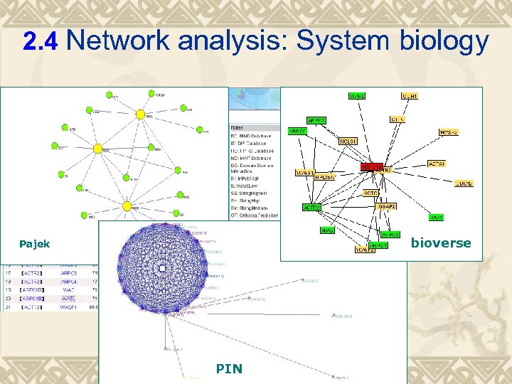 2. 4 Network analysis: System biology bioverse Pajek PIN 