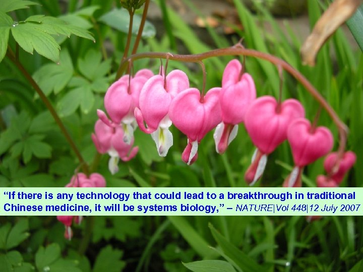 “If there is any technology that could lead to a breakthrough in traditional Chinese