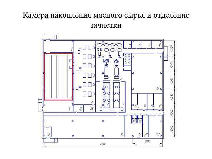 Камера накопления мясного сырья и отделение зачистки 