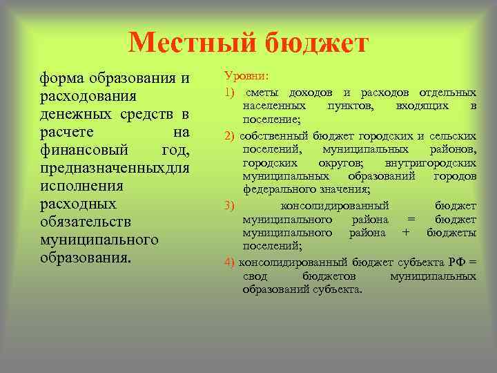 Местный бюджет форма образования и расходования денежных средств в расчете на финансовый год, предназначенных