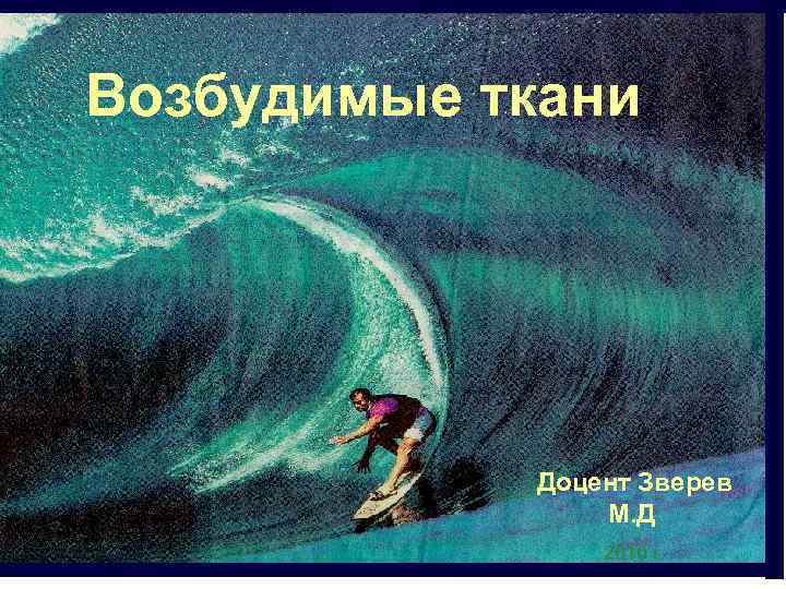 Возбудимые ткани Доцент Зверев М. Д. 2010 г. 