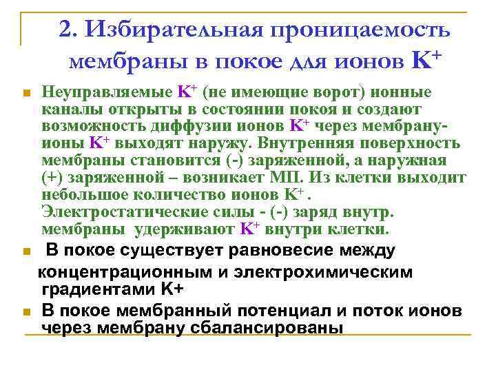 2. Избирательная проницаемость мембраны в покое для ионов K+ n n n Неуправляемые K+