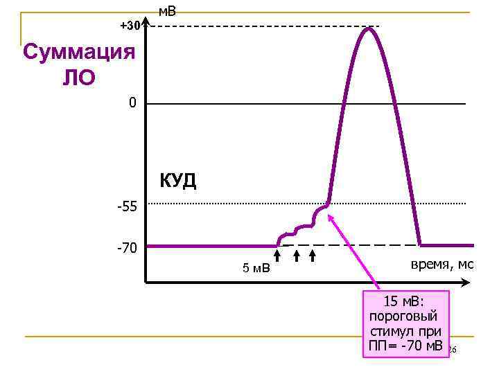 +30 м. В Суммация ЛО 0 КУД -55 -70 5 м. В время, мс