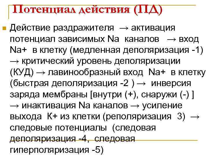 Потенциал действия (ПД) (ПД n Действие раздражителя → активация потенциал зависимых Na каналов →
