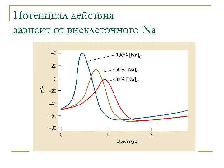 Потенциал действия зависит от внеклеточного Na 