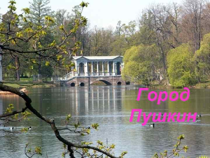 Город Пушкин 