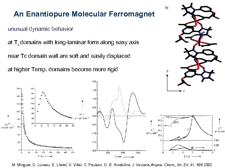 An Enantiopure Molecular Ferromagnet unusual dynamic behavior at Tc domains with long-laminar form along
