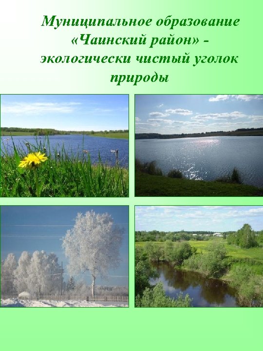 Муниципальное образование «Чаинский район» экологически чистый уголок природы 
