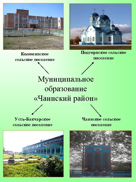 Коломинское сельское поселение Подгорнское сельское поселение Муниципальное образование «Чаинский район» Усть-Бакчарское сельское поселение Чаинское