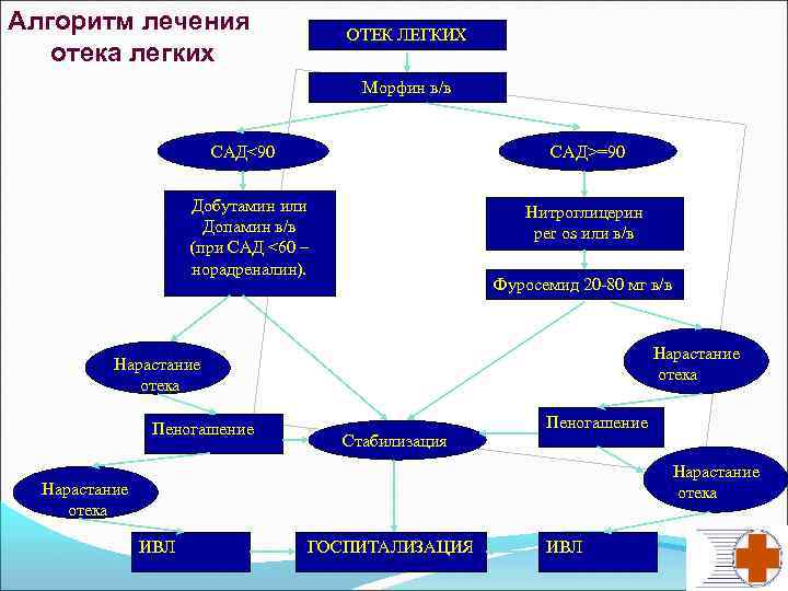 Алгоритм лечения отека легких ОТЕК ЛЕГКИХ Морфин в/в САД<90 САД>=90 Добутамин или Допамин в/в