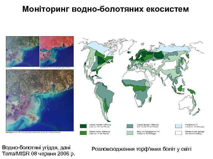 Моніторинг водно-болотяних екосистем Водно-болотяні угіддя, дані Terra/MISR 08 червня 2006 р. Розповсюдження торф'яних боліт