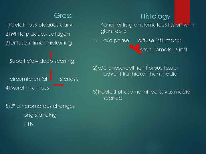 Gross Histology 1)Gelatinous plaques-early Panarteritis-granulomatous lesion with giant cells 2)White plaques-collagen 3)Diffuse intimal thickening