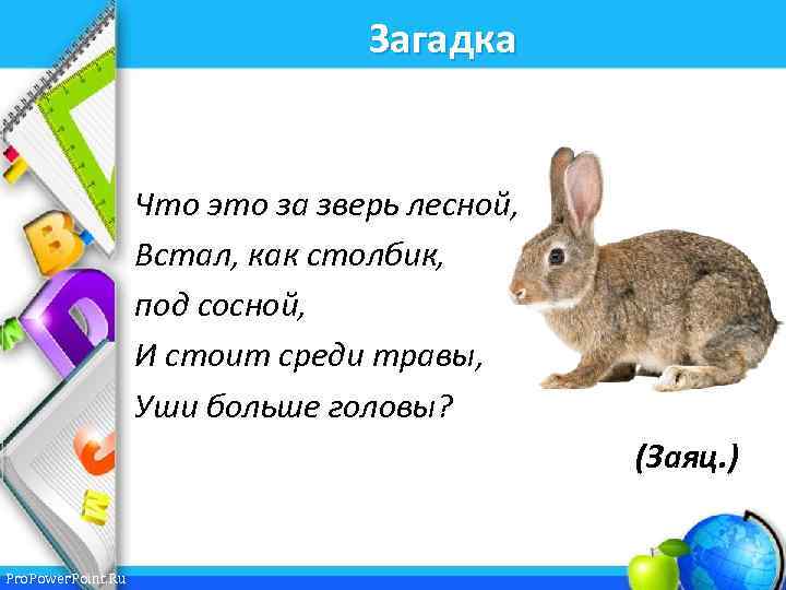 Загадка Что это за зверь лесной, Встал, как столбик, под сосной, И стоит среди